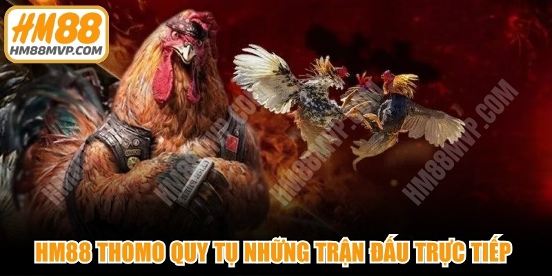 HM88 Thomo quy tụ những trận đấu trực tiếp quy mô lớn