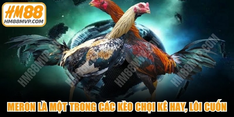 Meron là một trong các kèo chọi kê hay, cực kỳ lôi cuốn