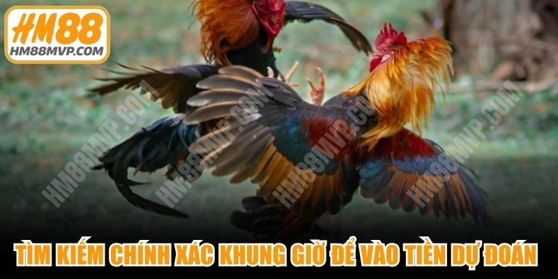 Tìm kiếm chính xác khung giờ để vào tiền dự đoán thần kê