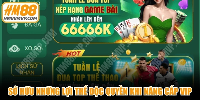 Sở hữu những lợi thế độc quyền khi thành công nâng cấp VIP