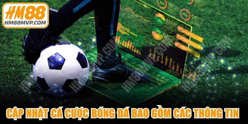 Cập nhật cá cược bóng đá bao gồm các thông tin liên quan đến trận đấu 