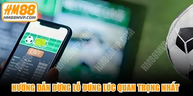 Hướng dẫn dừng lỗ đúng lúc quan trọng nhất đối với mọi người