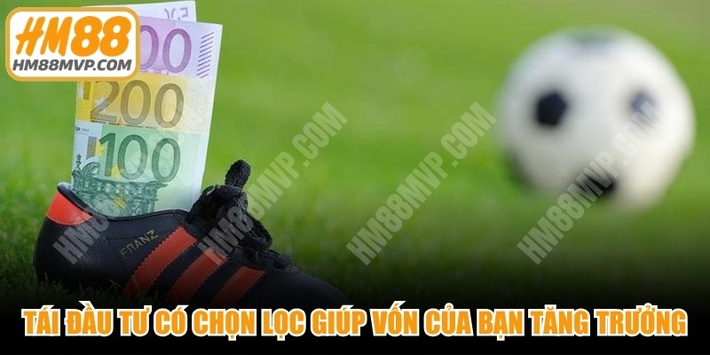 Tái đầu tư có chọn lọc giúp quy mô vốn của bạn tăng trưởng