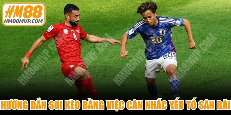 Hướng dẫn soi kèo dựa vào lịch thi đấu bằng việc cân nhắc yếu tố sân bãi