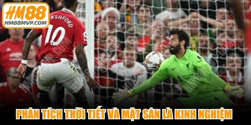 Phân tích thời tiết và mặt sân là kinh nghiệm phân tích sân nhà sân khách