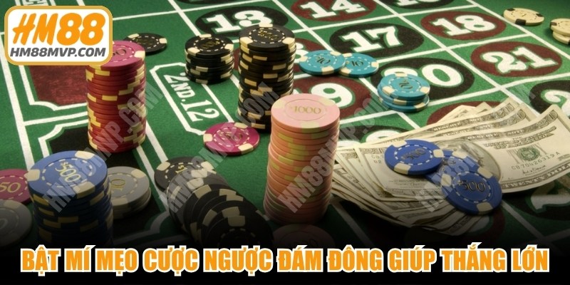 Bật mí những mẹo cược ngược đám đông giúp thắng lớn