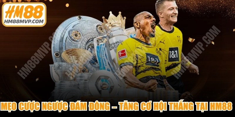 Mẹo Cược Ngược Đám Đông