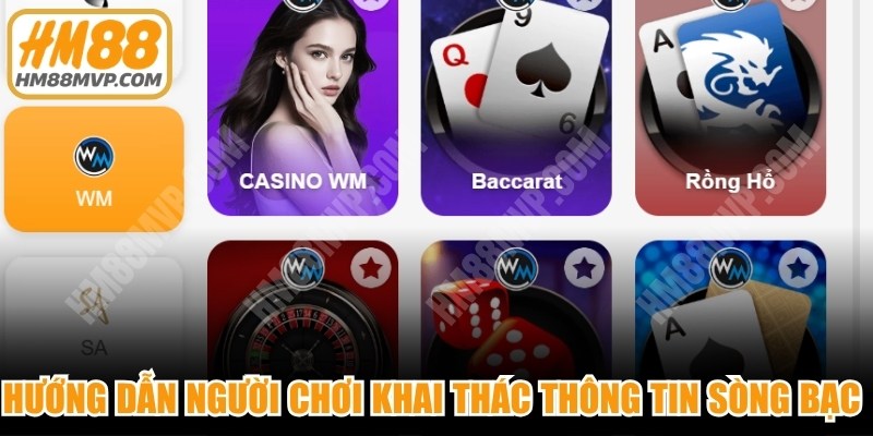 Hướng dẫn người chơi khai thác thông tin sòng bạc online hiệu quả
